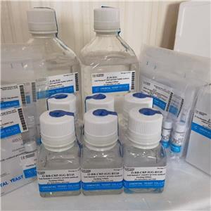 GR, glutathione reductase,谷胱甘肽还原酶 ORIENTAL YEAST