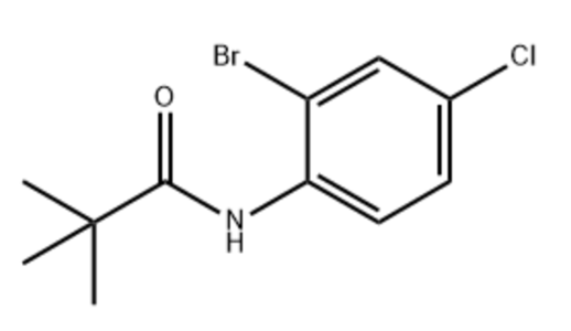 2-溴-4-氯新戊酰胺,2-Bromo-4-chloropivalamide
