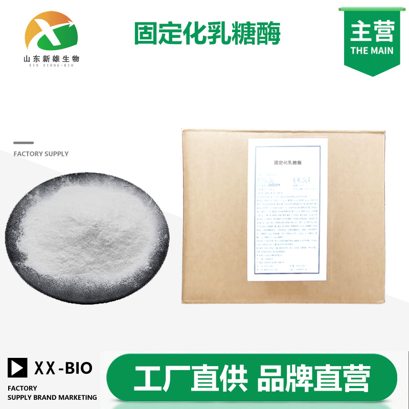 固定化乳糖酶,immobilized lactase