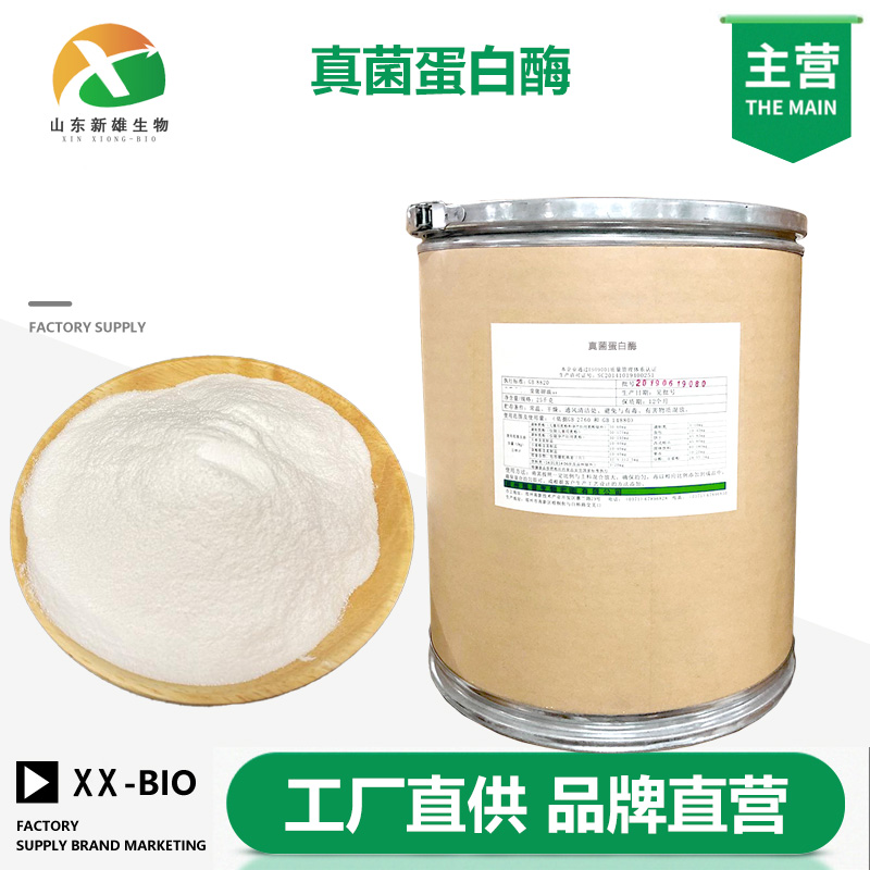 真菌蛋白酶,Fungal protease