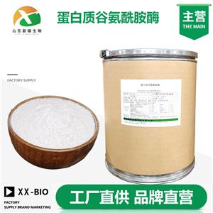 蛋白质谷氨酰胺酶厂家