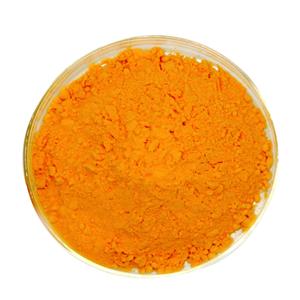 辅酶Q10,COENZYME Q10