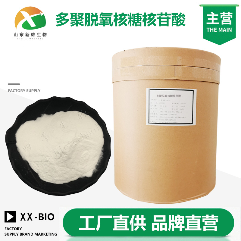 多聚脱氧核糖核苷酸,DEOXYRIBONUCLEIC ACID