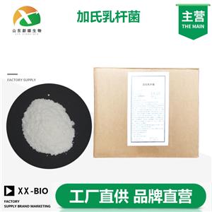 加氏乳杆菌生产厂家