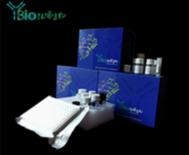 人补体片断3b(C3b)ELISA试剂盒 YB72320Hu,C3b