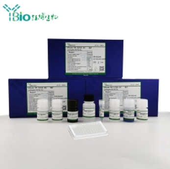 人肌酸激酶同工酶BB(CK-BB)ELISA试剂盒 YB72431Hu,CK-BB