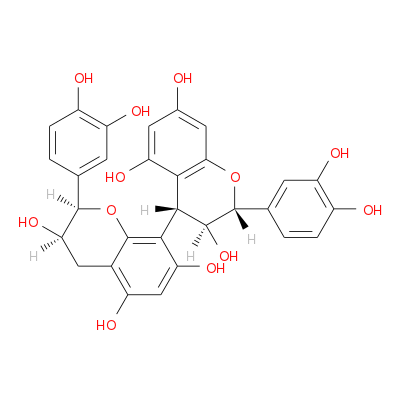 原花青素B4,Proanthocyanidin B4