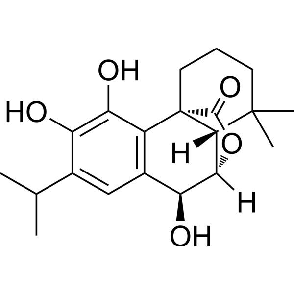 迷迭香酚,Rosmanol