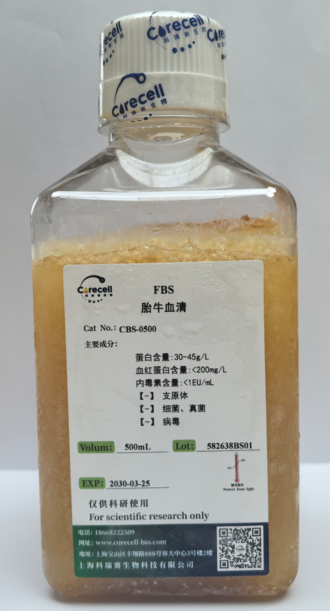 胎牛血清,Fetal Bovine Serum
