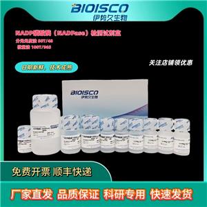 NADP磷酸酶（NADPase）活性检测试剂盒
