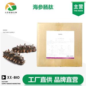 海参肠肽生产厂家