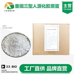 重组三型人源化胶原蛋白,Collagen