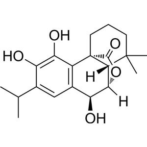 迷迭香酚,Rosmanol