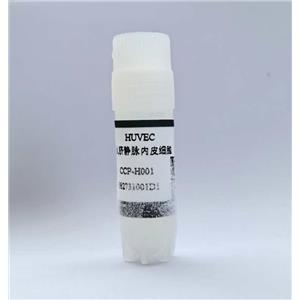 人脐静脉内皮细胞,Human Umbilical Vein Endothelial Cells(HUVEC)