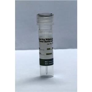 （内皮标志物抗体）Anti-Von Willebrand Factor Rabbit mAb