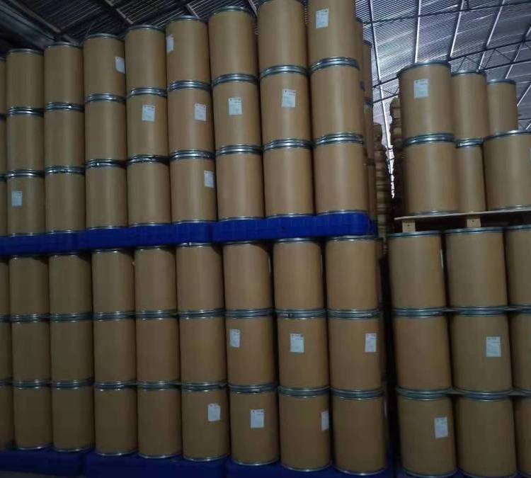 奈非西坦,Nefiracetam