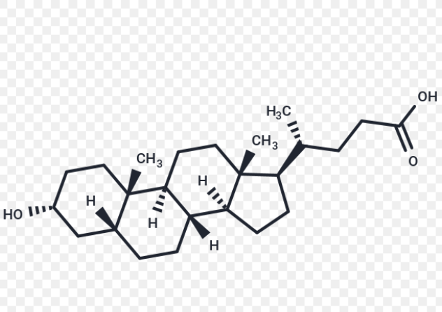 CY5-石胆酸,CY5-LITHOCHOLIC ACID