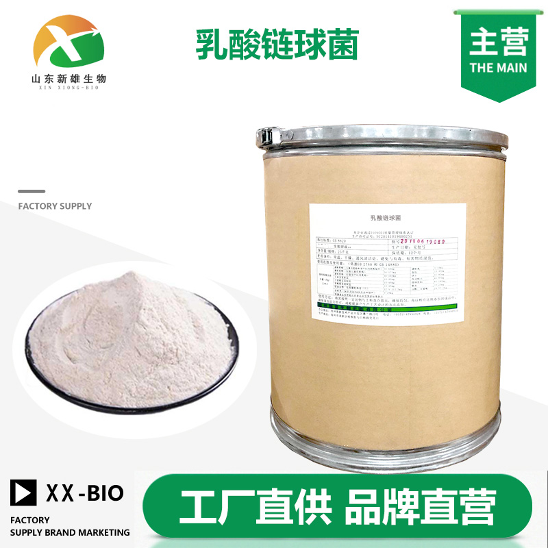 乳酸链球菌,Streptococcus lactis