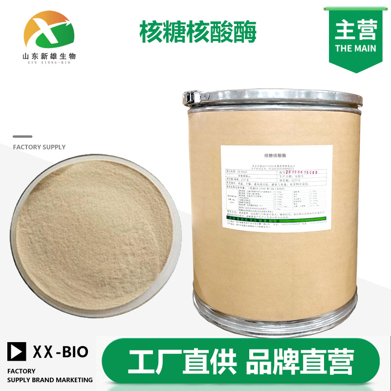 核糖核酸酶,Ribonuclease A