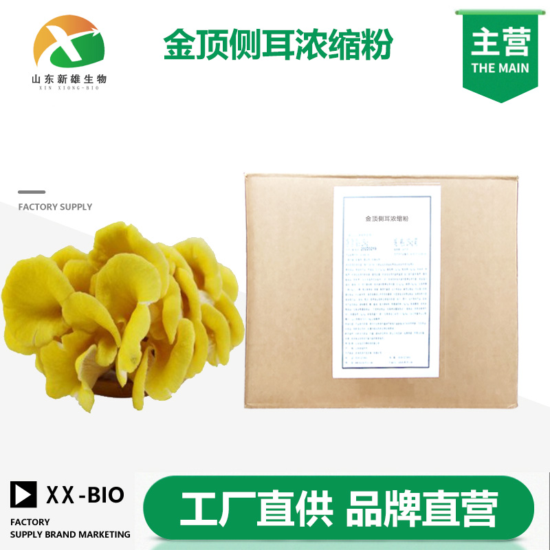 金顶侧耳浓缩粉,Golden Top Ear Concentrate Powder
