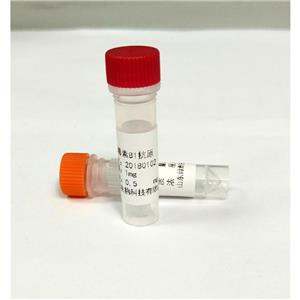鼠抗多菌灵单克隆抗体与偶联全抗原,Mouse Anti-carbendazim Monoclonal Antibody