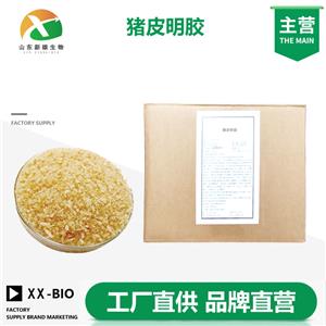 猪皮明胶生产厂家