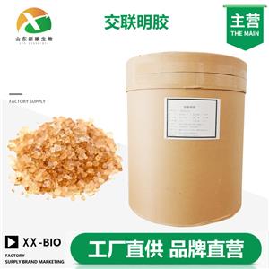 交联明胶生产厂家