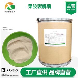 果胶裂解酶,Pectinase