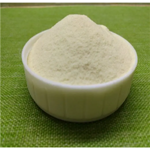 6-氯-2,4-二硝基苯胺,6-Chloro-2,4-dinitroaniline