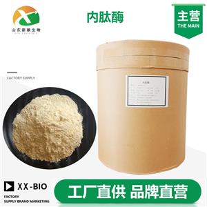 内肽酶生产厂家