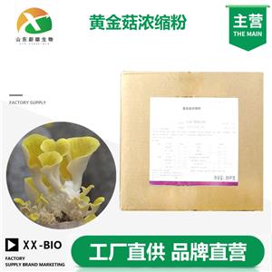 黄金菇浓缩粉生产厂家