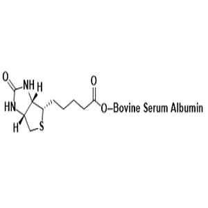 4-羟基-3-硝基苯基乙酰基-牛血清白蛋白-生物素,NP-BSA-Biotin