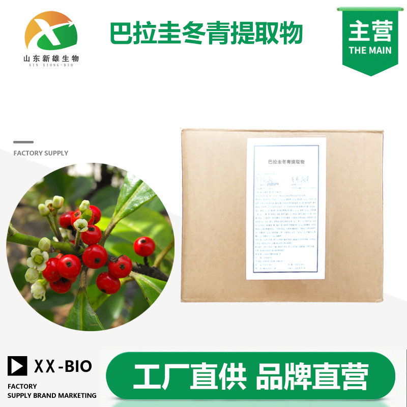 巴拉圭冬青提取物,MATE ABSOLUTE