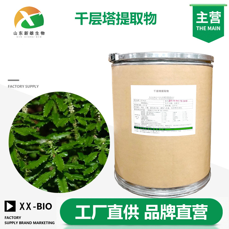 千层塔提取物,Huperzia Serrate P.E