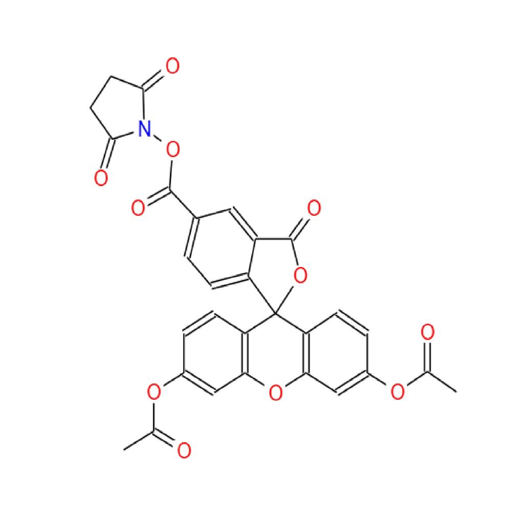 细胞增殖示踪荧光探针(CFDASE),5(6)-(N-SUCCINIMIDYLOXYCARBONYL)-3',6',O,O'-DIACETYLFLUORESCEIN
