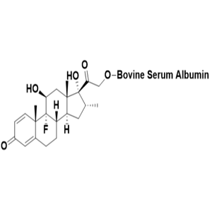 葡聚糖修饰牛血清白蛋白,Dextran-BSA