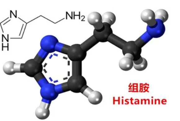 组胺偶联牛血清蛋白,Histamine-BSA