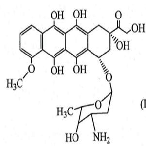 DOX-nhs，阿霉素-NHS