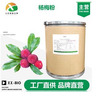 杨梅粉生产厂家