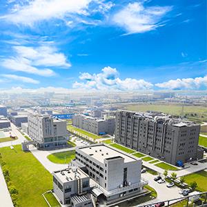 5-[(S)-2,2-二甲基四氢-2H-吡喃-4-基]-1-[(1S,2S)-2-甲基-1-(5-氧代-4,5-二氢-1,2,4-噁二唑-3-基)环丙基]-1H-吲哚-2-甲酸,5-[(S)-2,2-Dimethyltetrahydro-2H-pyran-4-yl]-1-[(1S,2S)-2-methyl-1-(5-oxo-4,5-dihydro-1,2,4-oxadiazol-3-yl)cyclopropyl]-1H-indole-2-carboxylic Acid