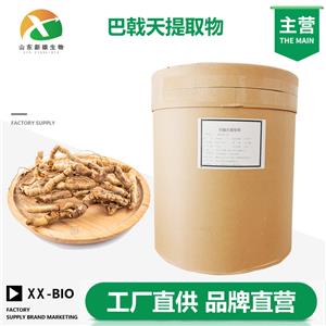 巴戟天提取物生产厂家