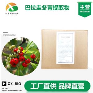 巴拉圭冬青提取物,MATE ABSOLUTE