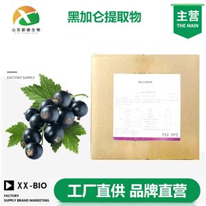 黑加仑提取物生产厂家