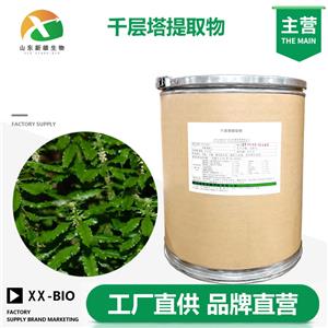 千层塔提取物生产厂家