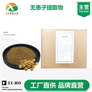 无患子提取物生产厂家
