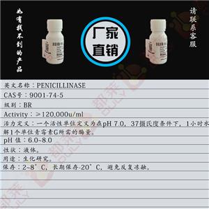 青霉素酶,PENICILLINASE