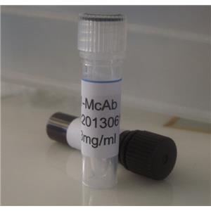 鼠抗磺胺类单克隆抗体,Anti-Sulfonamides monoclonal antibody