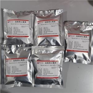 盐酸柔红霉素,Daunorubicin hydrochloride