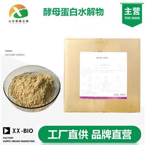 酵母蛋白水解物,Protein hydrolyzates, yeast