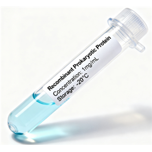 重组抗体/重组羊驼纳米抗体,Recombinant antibody/recombinant alpaca nanobody